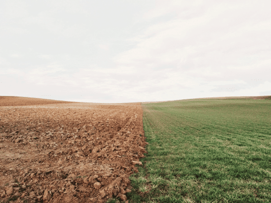 Traditional farming soil vs regenerative agriculture farming soil.